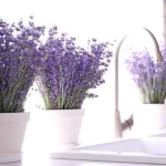 As melhores cidades para nômades digitais em 2025