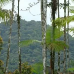 Plataforma mapeia áreas de risco climático no Brasil