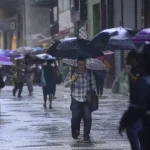 Mata Atlântica perde 2,4 milhões de hectares em 40 anos