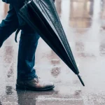 Alemanha anuncia 1 bilhão de euros para Fundo de Florestas idealizado pelo Brasil