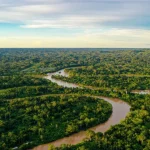 Bolsonaro recebeu PF sem Michelle em casa e não ofereceu resistência à prisão; leia bastidores
