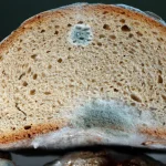 Produtora israelense da série ‘Teerã’ é encontrada morta em quarto de hotel na Grécia