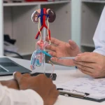 Cavalo invade salão de beleza no Piauí e rouba a cena diante do espelho