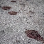 Rafaela Silva volta ao Reação, e Fla dá adeus a segundo medalhista olímpico