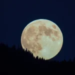 A cada 10 minutos, mulher ou menina morre vítima de parceiro ou familiar