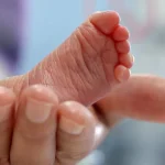 Bolsonaro chega a 100 dias preso em casa sob enfraquecimento político e temor de Papuda