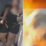 Gracyanne Barbosa revela que marca de ovos de luxo era ação publicitária do Canva