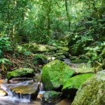 Por que você NÃO deve guardar esses alimentos na geladeira