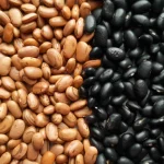 Artistas que foram acusados de plágio (e alguns copiaram do Brasil)