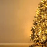 Messi retorna ao Camp Nou e emociona fãs com desabafo sobre o Barça