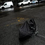 Da CPI à Sapucaí, com escala em Madri: o ano de Virginia Fonseca