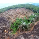 Eduardo Bolsonaro muda tom e celebra diálogo político entre Trump e Lula