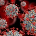 Toffoli libera retomada do caso Master, mas determina que materiais apreendidos fiquem em seu gabinete