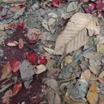 Polêmica leva Discord a adiar verificação de idade. O que aconteceu?