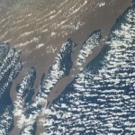 8 mil bebês são diagnosticados com paralisia cerebral por ano no Brasil