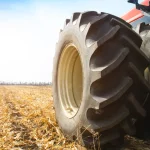 Troca de turma de Fux dá força para Kassio em novo arranjo no STF