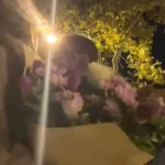 Estrela do K-pop Hyuna desmaia no palco durante apresentação