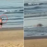 Auditor pede vista, e julgamento de Bruno Henrique é interrompido no STJD