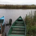 Virginia passará o Natal com Vini Jr e sem os filhos: ‘Não aceitei’