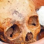 Ciro Gomes retorna ao PSDB, desafia PT e chacoalha xadrez eleitoral do Ceará