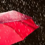 Retrospectiva: 2025, ano mágico de João Fonseca no tênis profissional