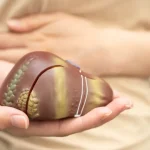 Lula celebra abertura de mais de 500 mercados de exportação agropecuária