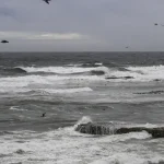 Nunes diz que poderá rescindir contrato com empresas de ônibus