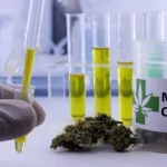 Com Selic em 15%, taxa de juros real é a mais alta em 20 anos