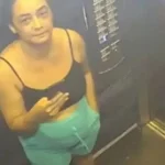 ‘O Agente Secreto’ é indicado ao César, principal prêmio de cinema da França