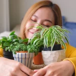 Morre Manoel Carlos, autor que marcou a história das novelas, aos 92 anos