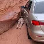 Bella Longuinho mostra antes e depois de procedimento nos glúteos; veja