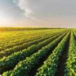 Juliano Floss conta que passou a fazer xixi sentado e causa debate entre confinados do BBB 26