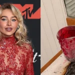 Musk quer acelerar procedimento para colocar ‘chips’ em cérebros humanos