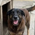 Após a visita de Ronaldo a Trump, é a vez de Messi visitar a Casa Branca