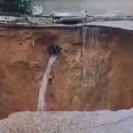 Sarah Jessica Parker virá ao Brasil no Carnaval