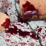 Feijão para uma vida melhor: a nova dieta revolucionária