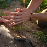Ataque do Palmeiras se aproxima de equilíbrio perto de convocações pré-Copa