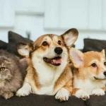 Alckmin diz que redução da jornada de trabalho é tendência mundial