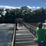 5 alimentos que ajudam a turbinar a memória e a saúde do cérebro