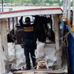 Filho do músico Lil Jon está desaparecido: “Pode estar desorientado”