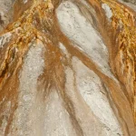 Polilaminina: Tatiana Sampaio defende dados da pesquisa e cogita estudo sem grupo controle