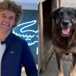 STF barra aposentadoria especial para vigilantes; INSS apontou rombo de R$ 154 bi