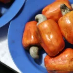 Labubus, bonecos que viralizaram, vão ganhar filme com atores e animação