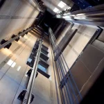 Lindolfo, cachorro de Samira, ganha prótese e estrela campanha publicitária