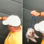 Estou chegando aos 50 segura, me cobrando menos e aproveitando mais, diz Ticiane Pinheiro