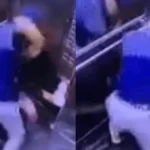 Polícia prende suspeitos de espancar capivara no Rio e classifica ataque como ‘bárbaro’