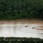 Violência recorrente contra mulheres expõe fragilidade da rede de proteção
