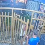 Pai de Martha Graeff publica mensagem de apoio após repercussão