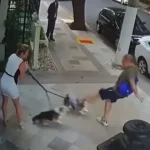 Fernando Caruso integra elenco de musical de Percy Jackson que estreia em outubro