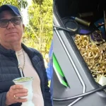 Proteína: veja as melhores opções para a saúde do coração